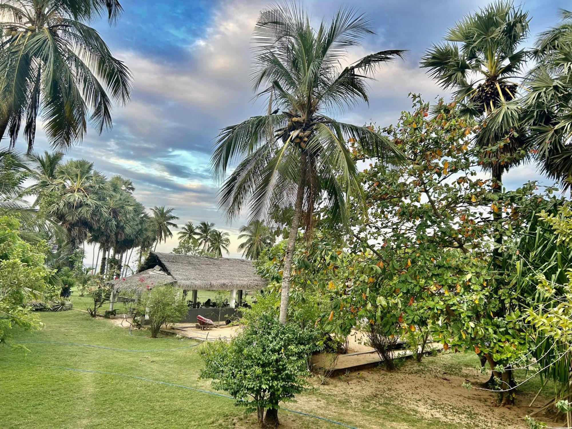 108 Palms Beach Resort Trincomalee Exteriér fotografie